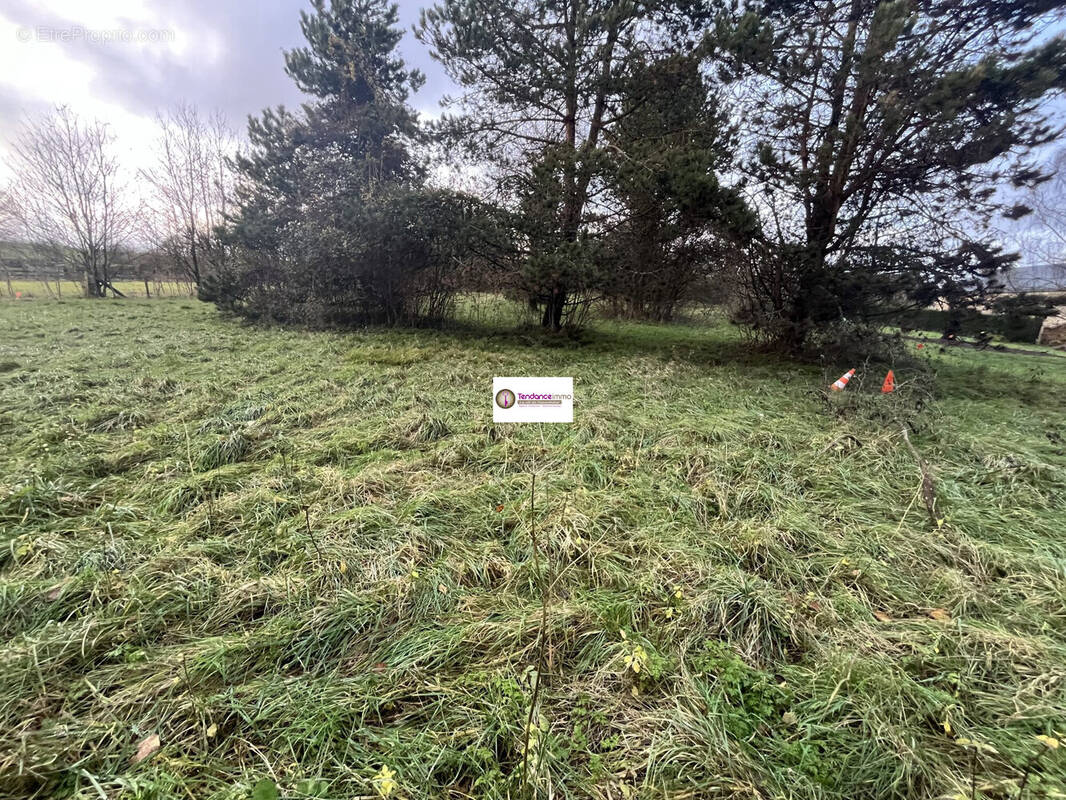 Terrain à COURTOMER