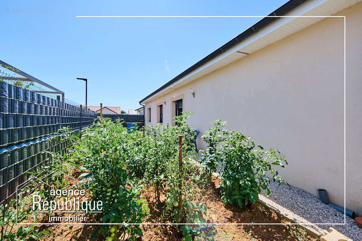 Photo 3 - Maison à NUITS-SAINT-GEORGES