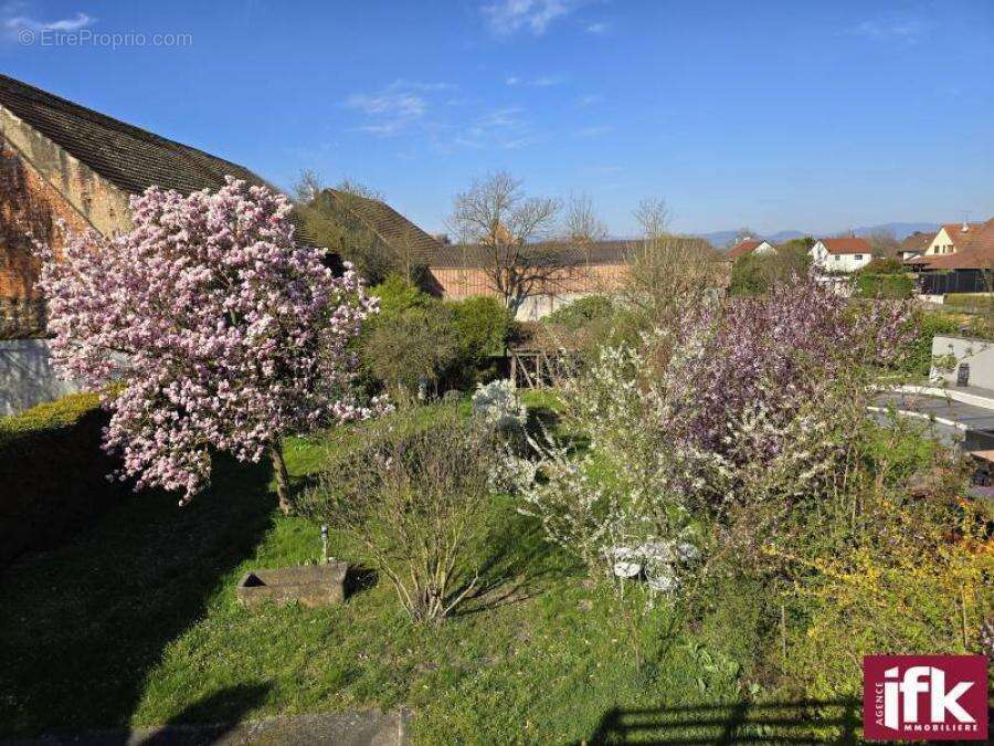 Maison à ANDOLSHEIM