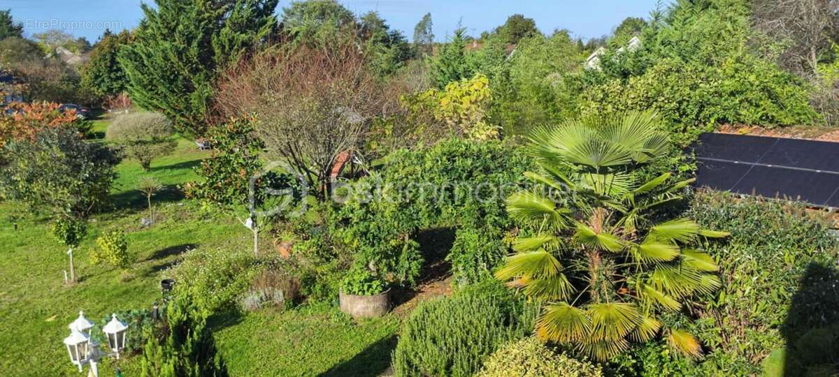 Maison à OUZOUER-SUR-LOIRE