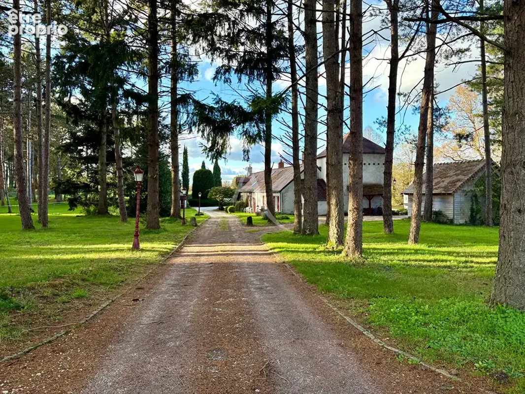 Saint-Georges-sur-Cher - Propriété d'exception, au calme absolu - photo 6