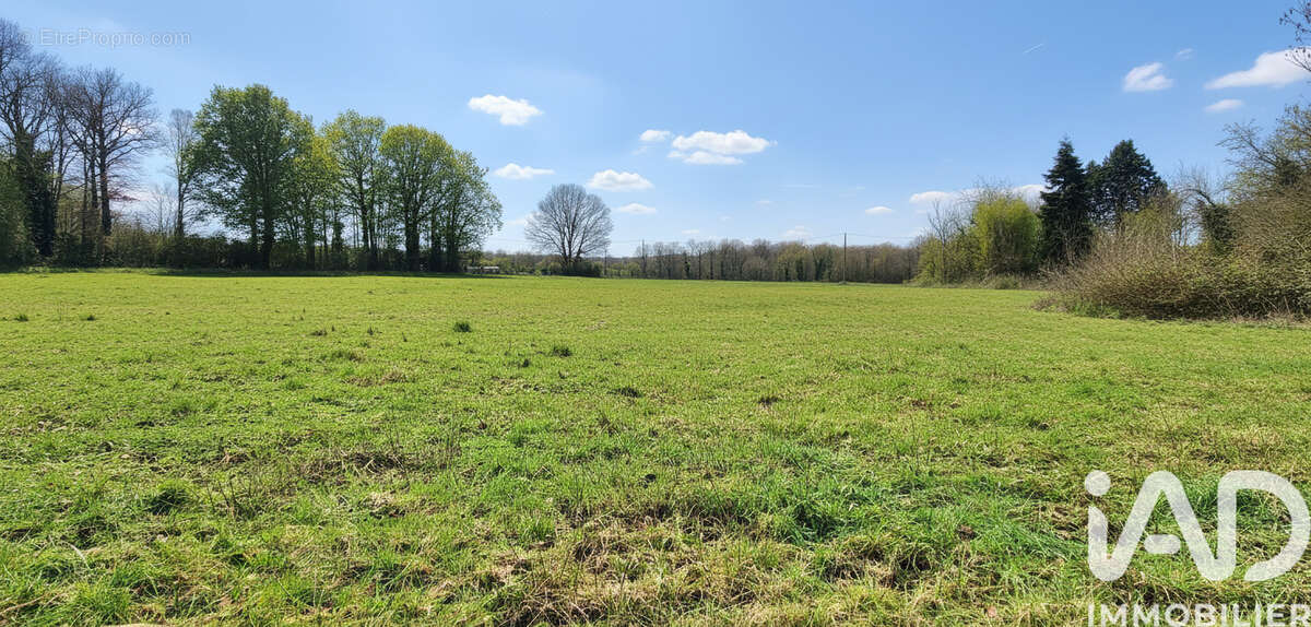 Photo 2 - Terrain à SAINT-LOUP-D'ORDON