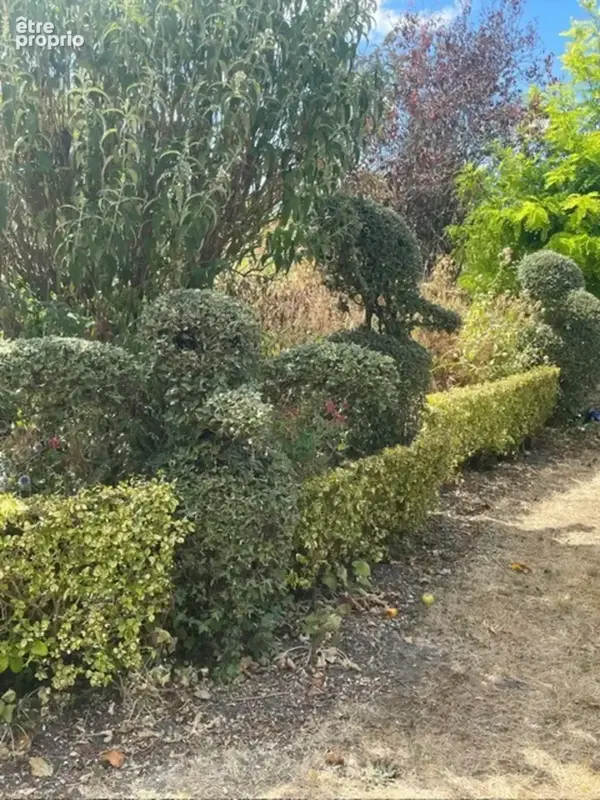 Maison à vendre 6 pièces CHILLEURS AUX BOIS (45) - photo 23