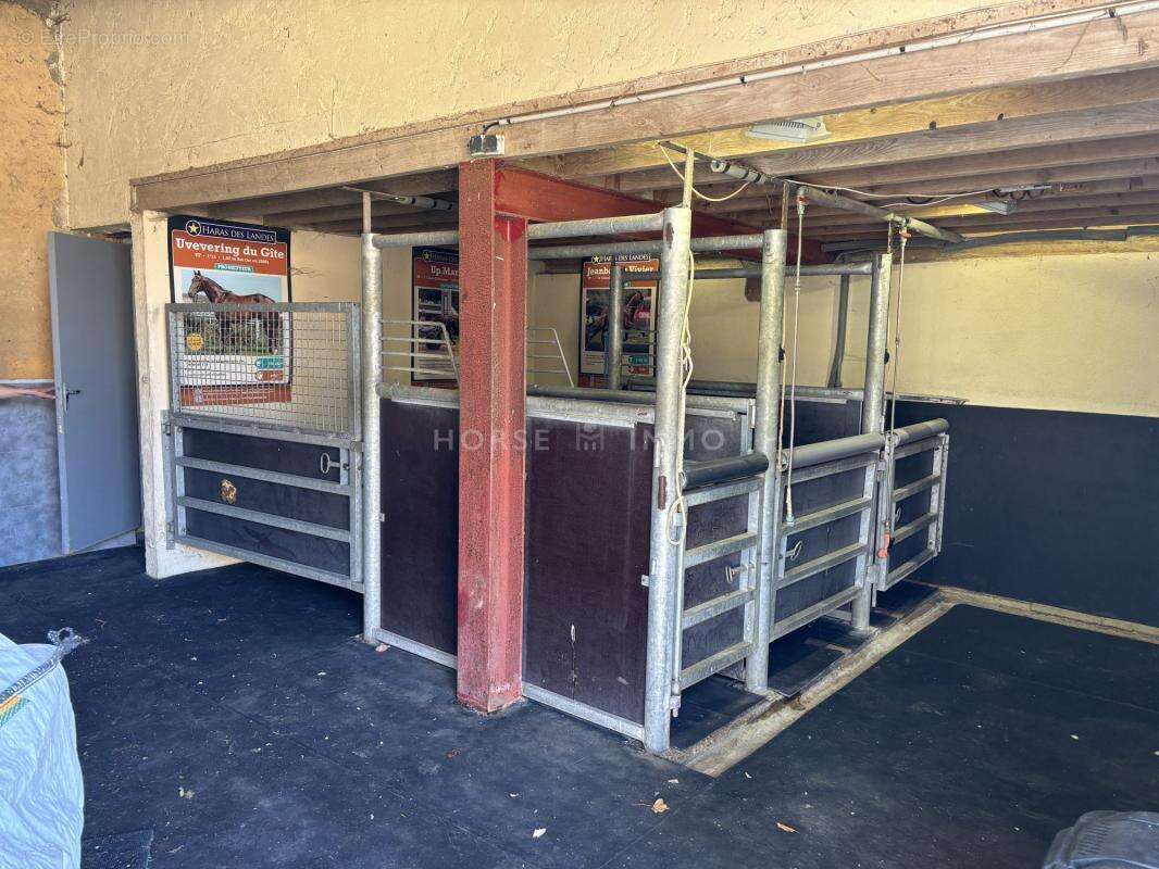 Maison à SAINT-GERMAIN-DE-LA-COUDRE