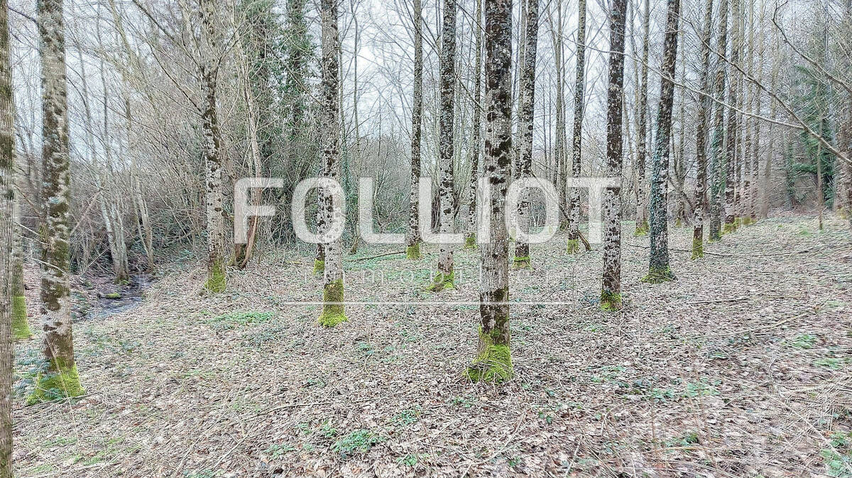 Terrain à HOCQUIGNY