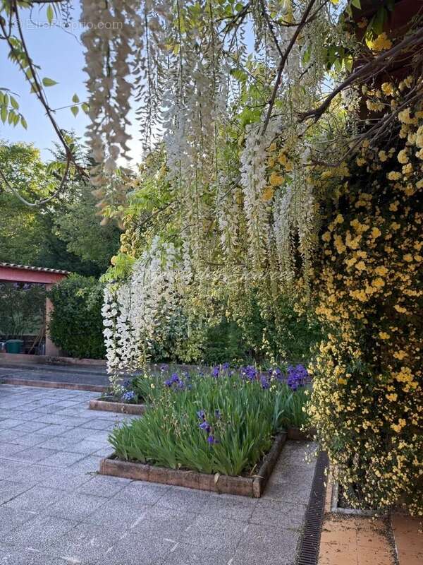 Villa provençale avec piscine à Montmeyan - photo 5