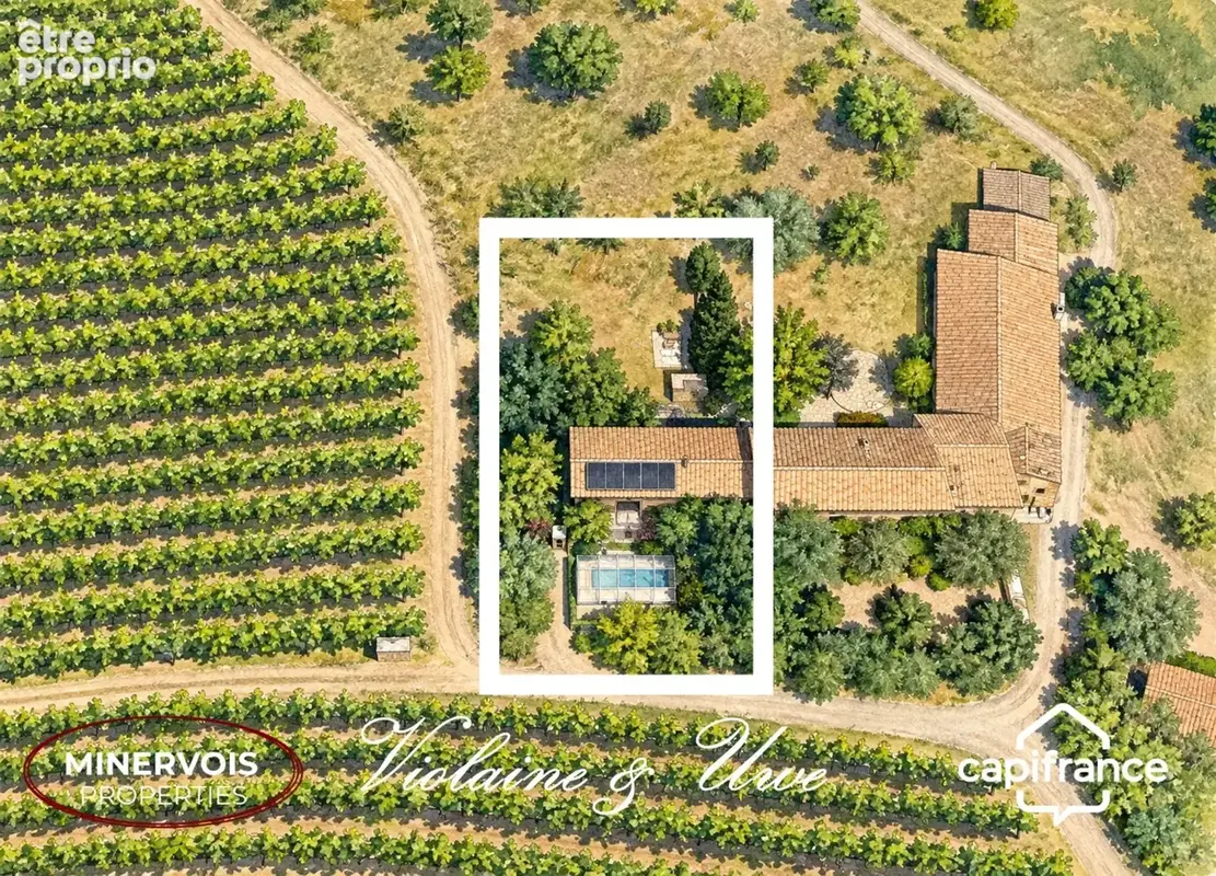 Azille – maison de 184 m² au milieu des vignes avec piscine et panneaux solaires - photo 5