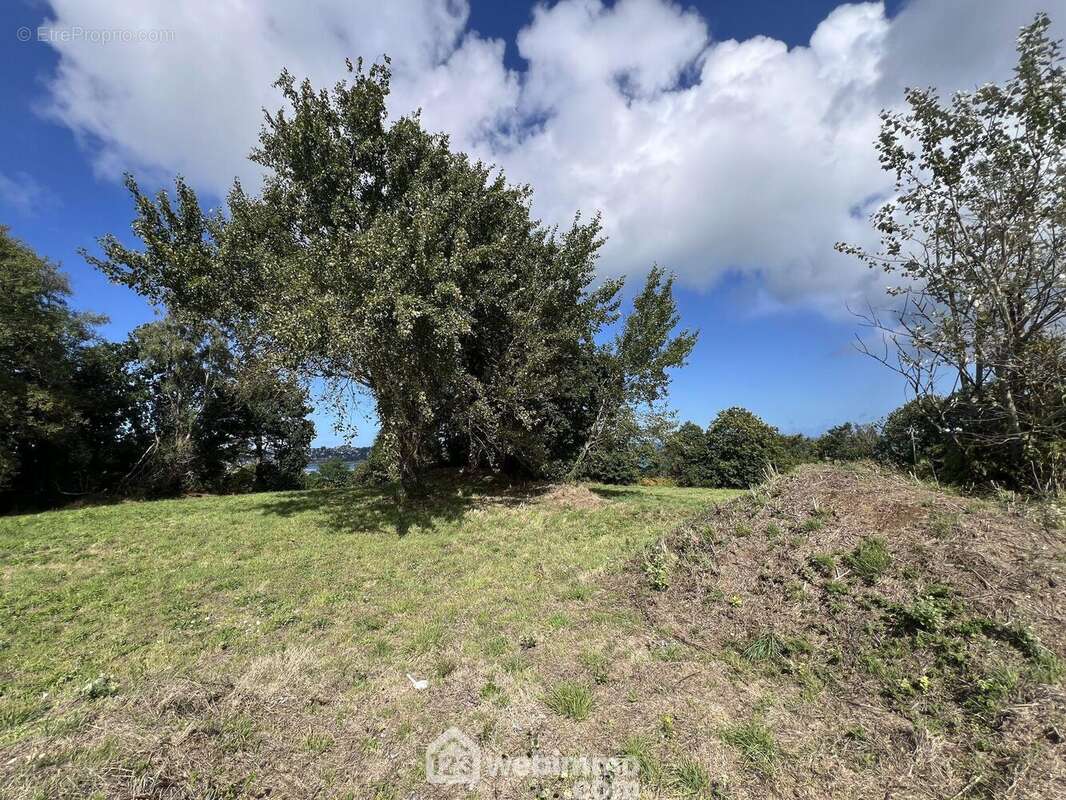 Terrain 1015 m² à Louannec  - photo 18