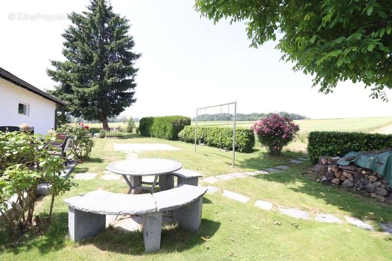 Au milieu des champs - photo 22