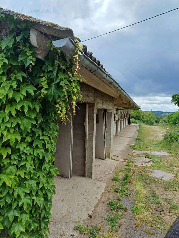 Maison à SAINT-BERTHEVIN