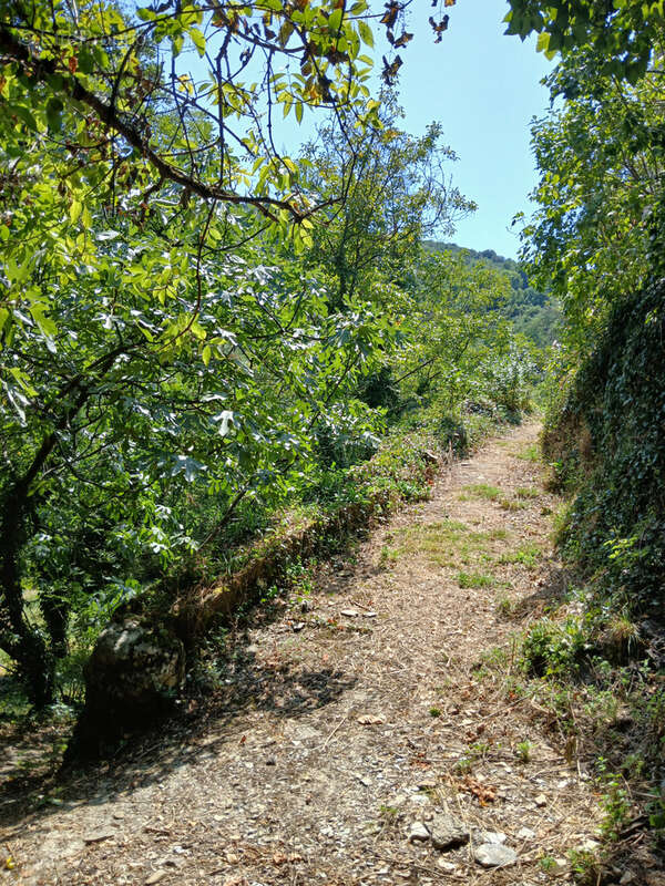 Maison à SAINT-JEAN-DU-GARD