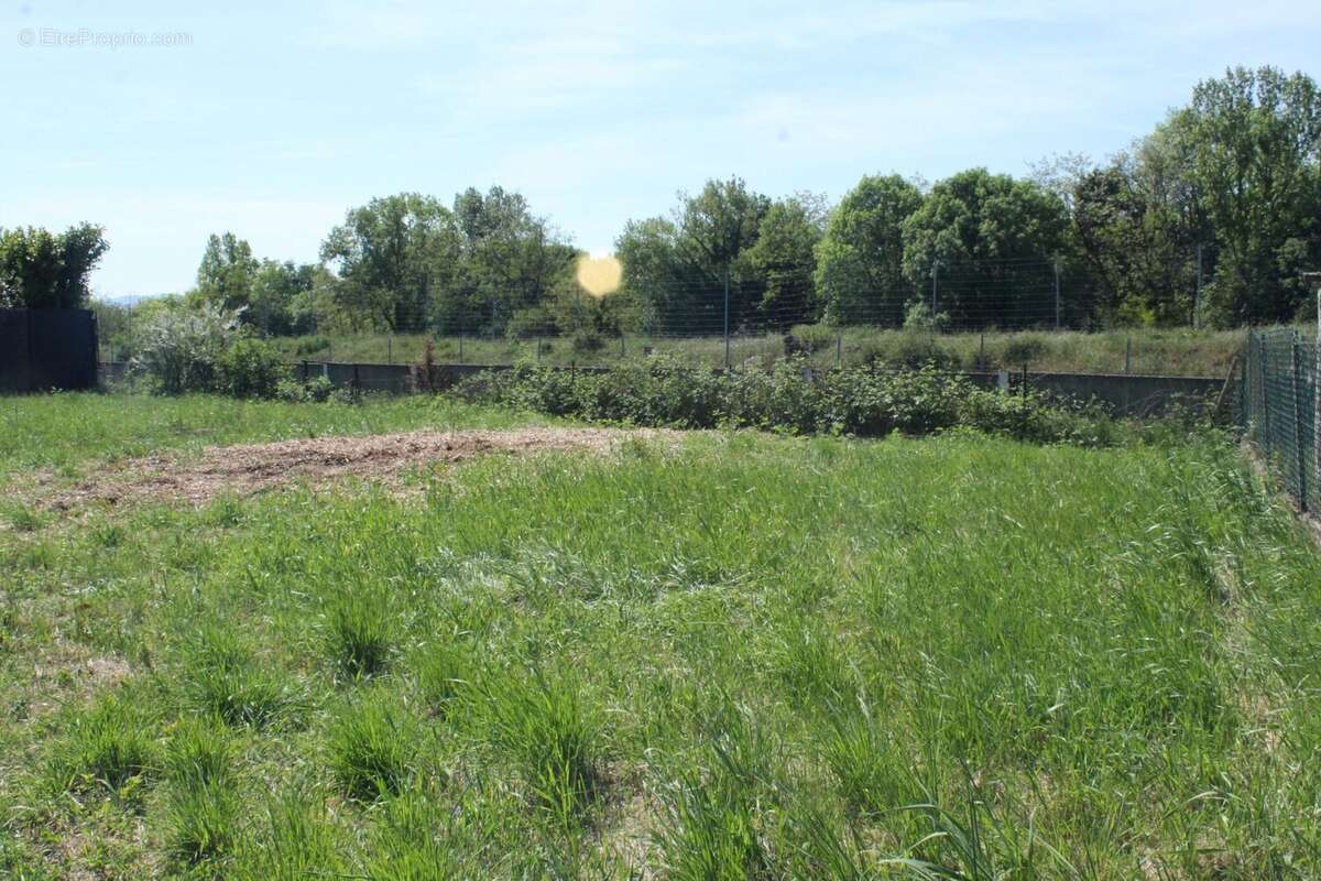 Terrain à RILLIEUX-LA-PAPE