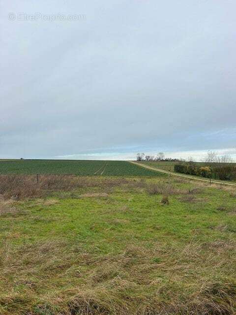 Terrain à TROYES