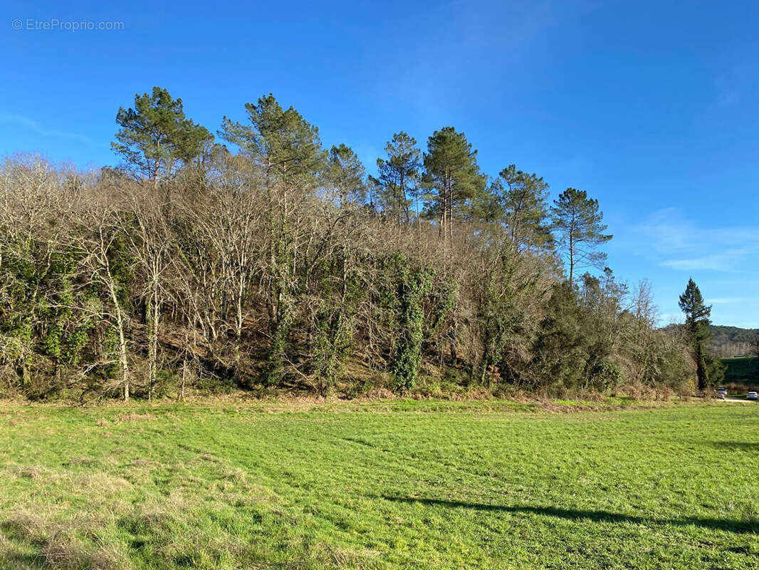 Terrain à SAINT-VINCENT-LE-PALUEL