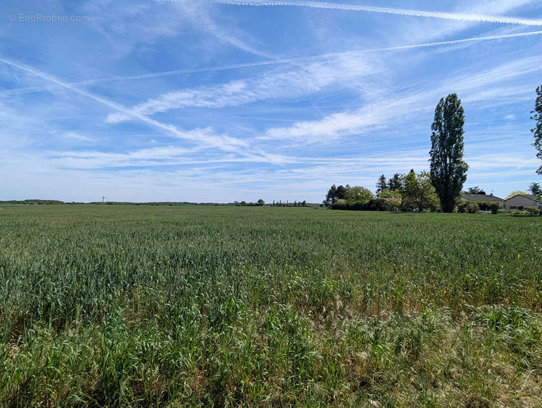 Terrain à CHAUVIGNY