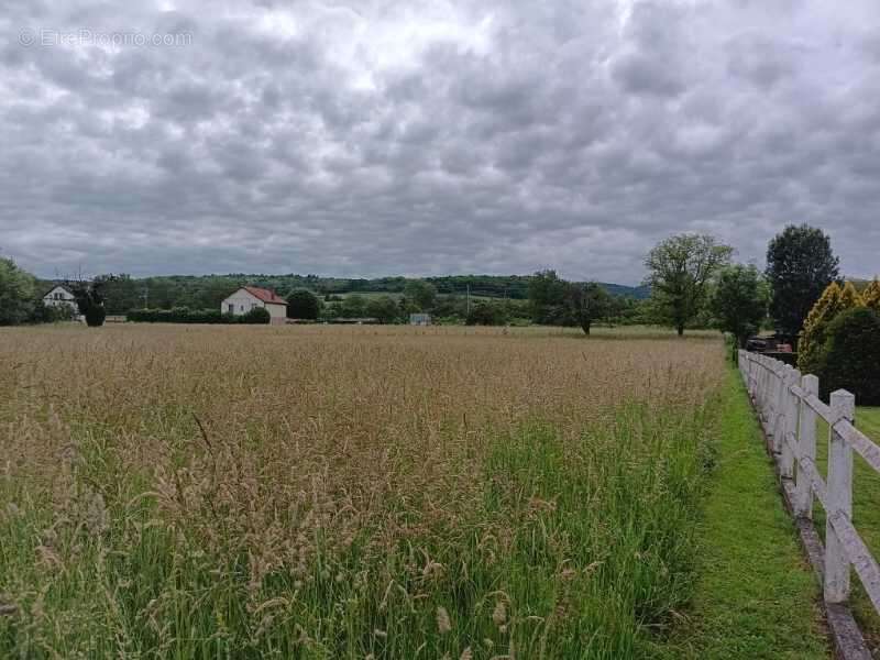 Terrain à VINCELLES