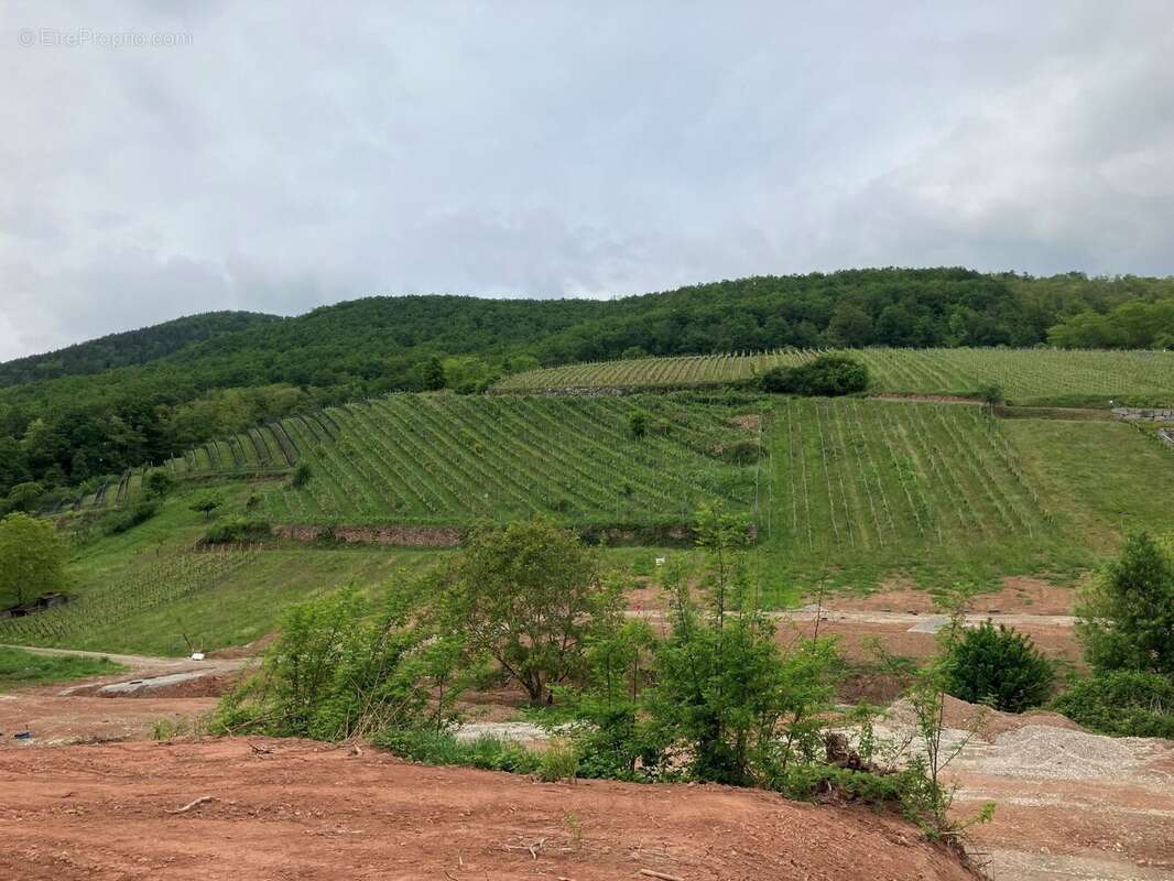 Terrain à KATZENTHAL