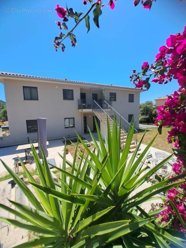 Appartement à VIGGIANELLO