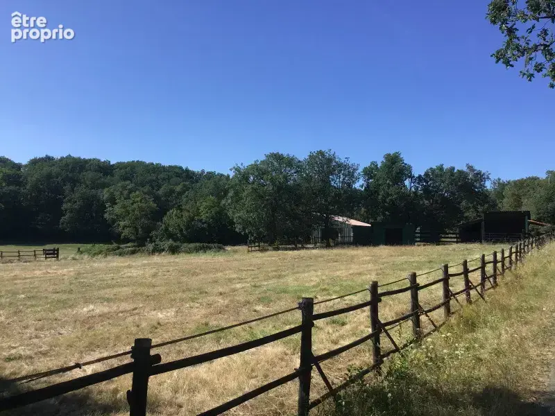 Propriété de grand standing sur 17h de prairie et bois avec plate forme ULM - photo 16