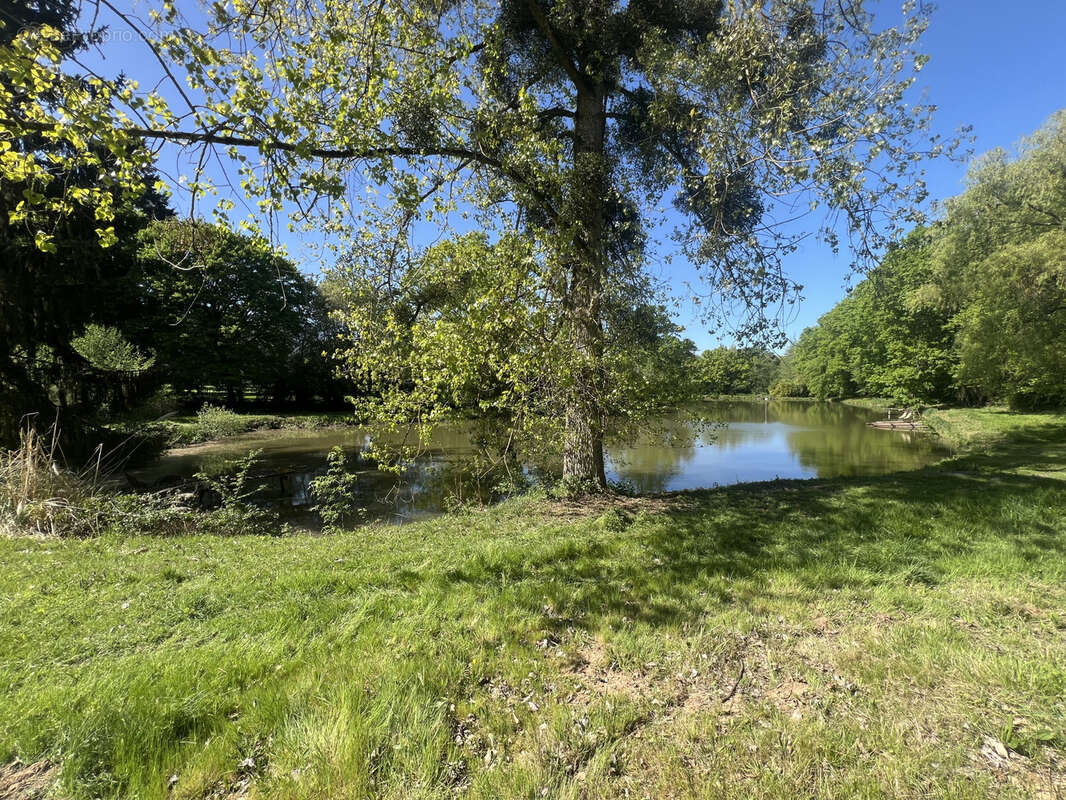 Etang avec terrain viabilise - photo 12