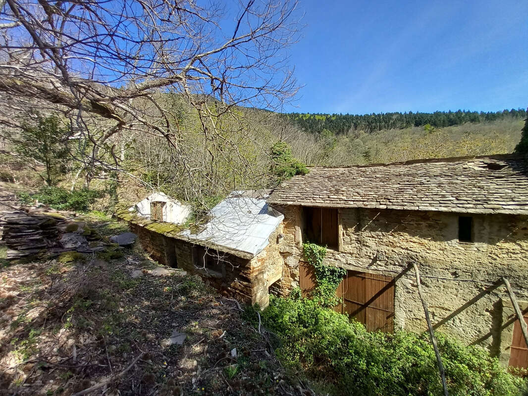 Unique ! ancienne Ferme à rénover sur 15Ha de patures et bois . - photo 11