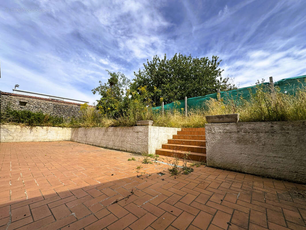 Proche voves - photo 6