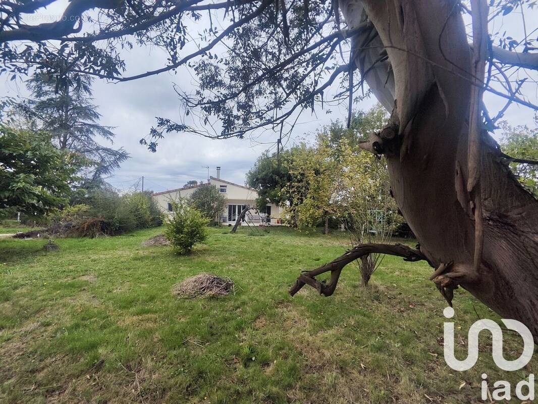 Photo 1 - Maison à LA VILLE-DIEU-DU-TEMPLE