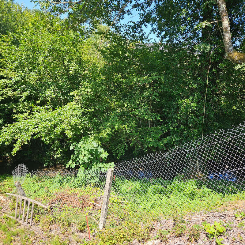 Terrain  Constructible Saint Jean D Avelanne 638 m2 - photo 2
