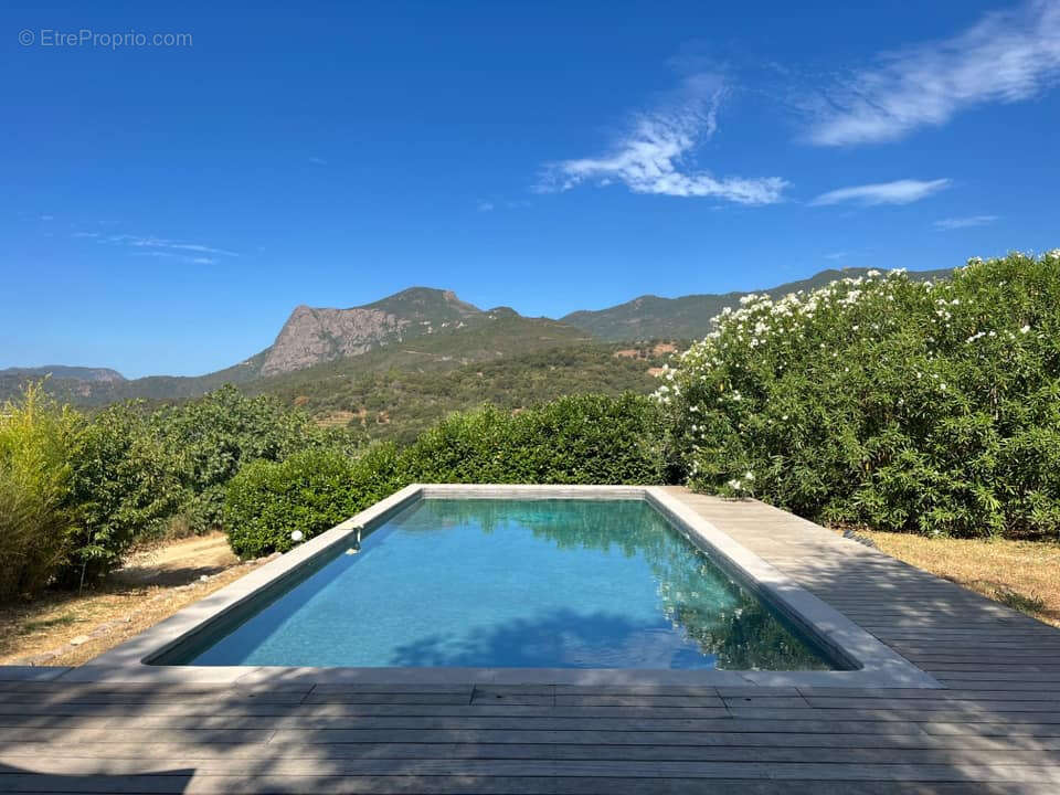 Maison à SARROLA-CARCOPINO