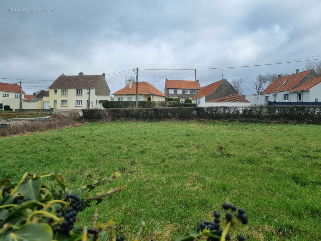 réf 4006 - Très belle opportunité sur LOCQUINGHEN RETY - photo 3