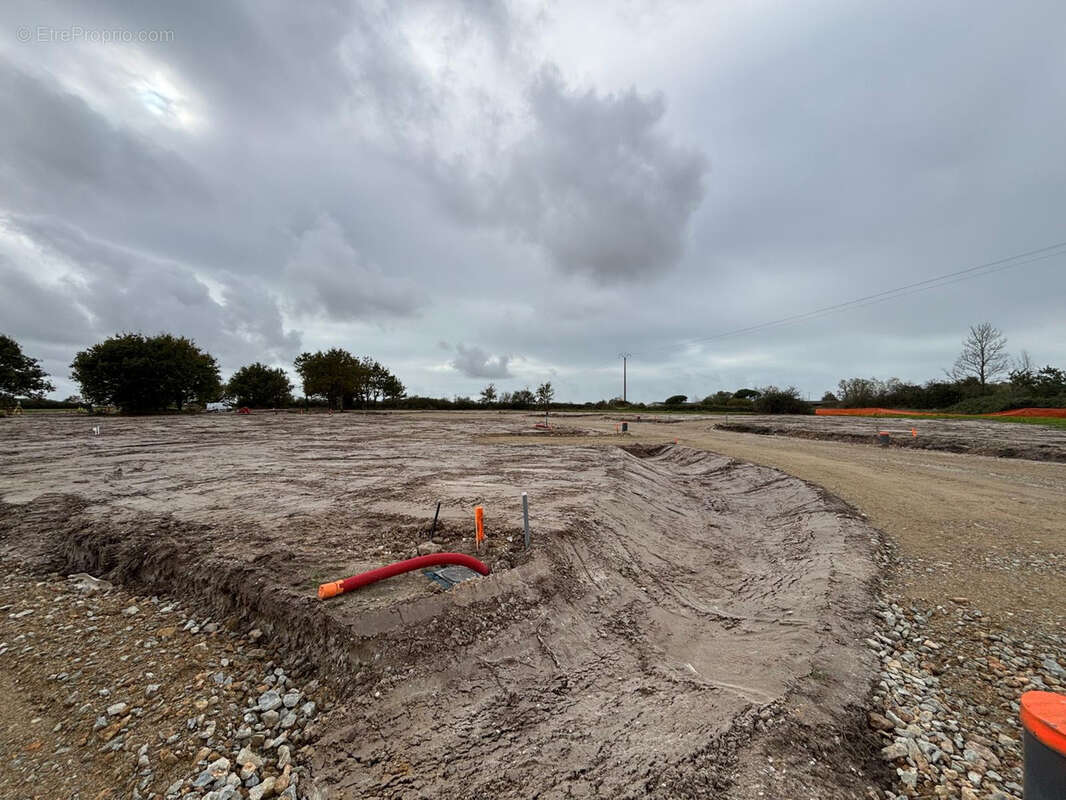 Terrain à SALLERTAINE