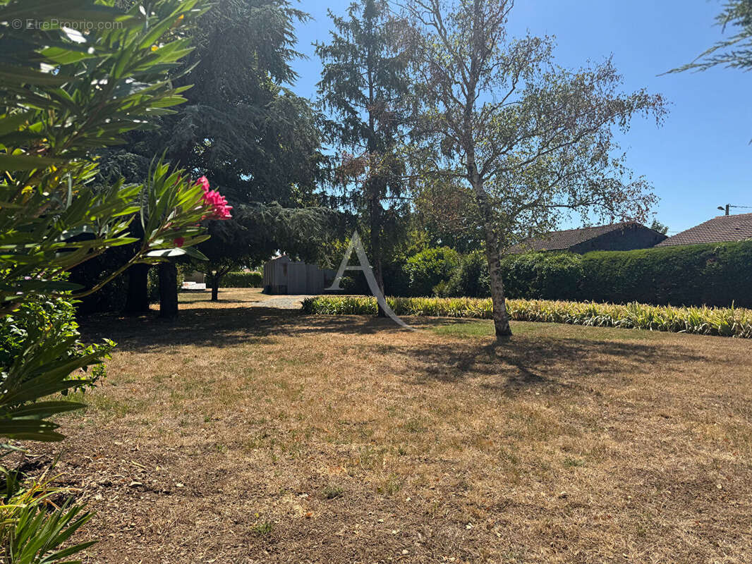 Maison  - Vix - 146 m² - photo 2
