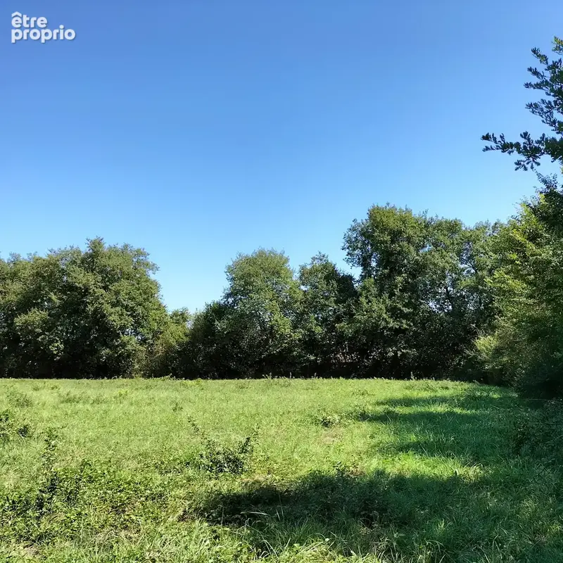 joli terrain de 2800m2 , sans vis à vis, 20 min d'Auch - photo 4