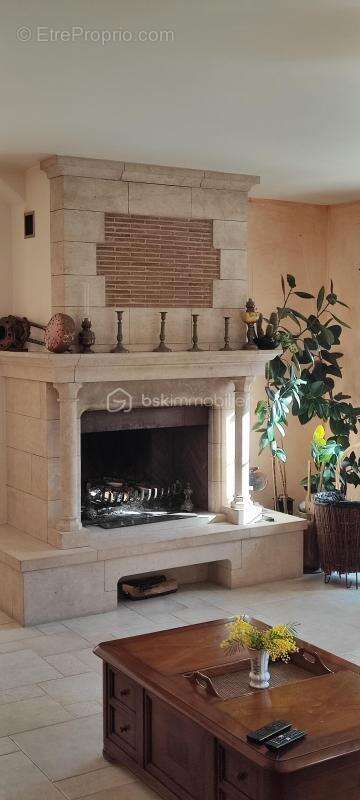 Villa traditionnelle 250 m² T2 terrain 7300 m² Piscine - photo 11