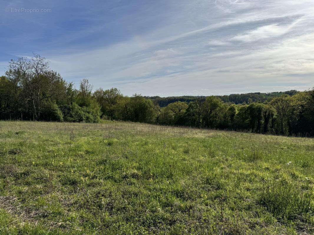 Terrain à MONTREUIL-AUX-LIONS