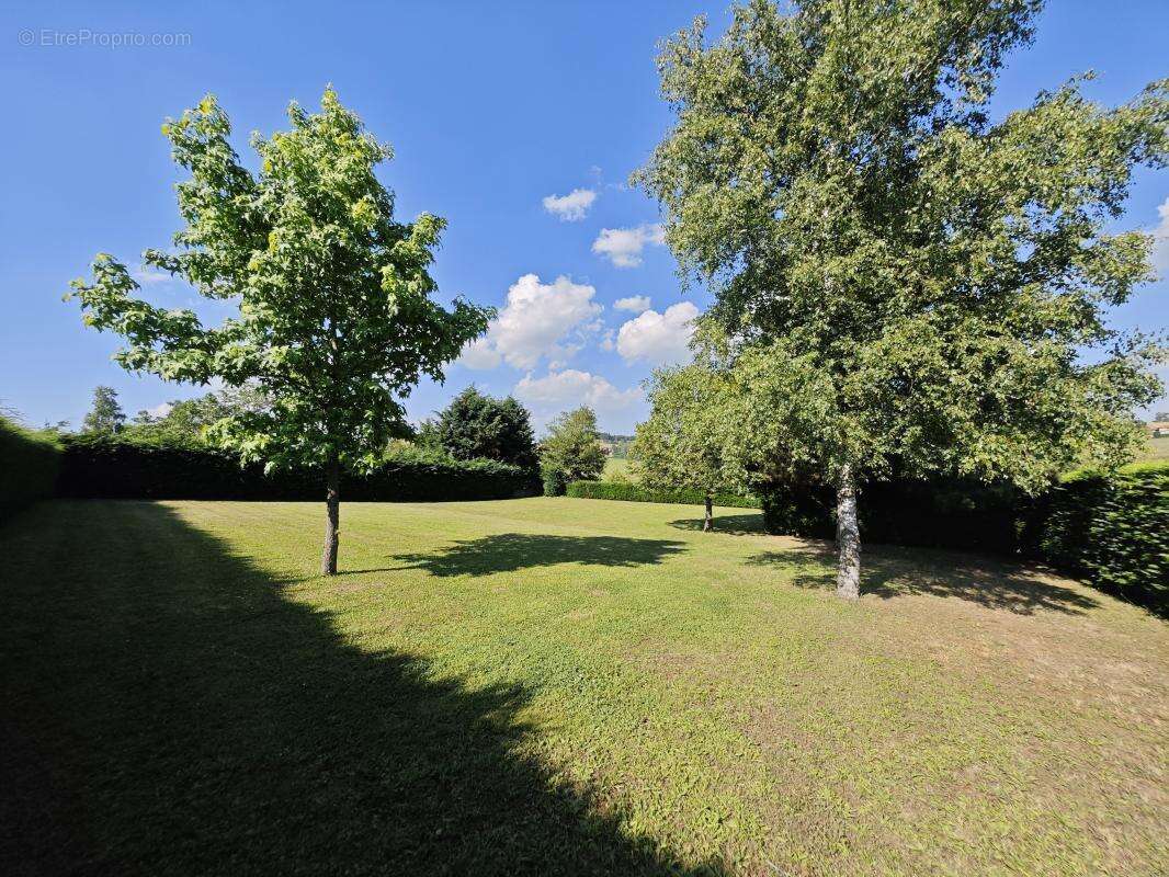 Terrain 981 m² à Maringes  - photo 4