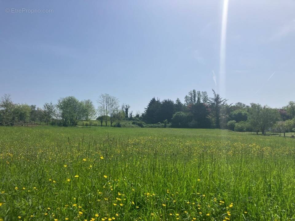 Terrain à LANGON