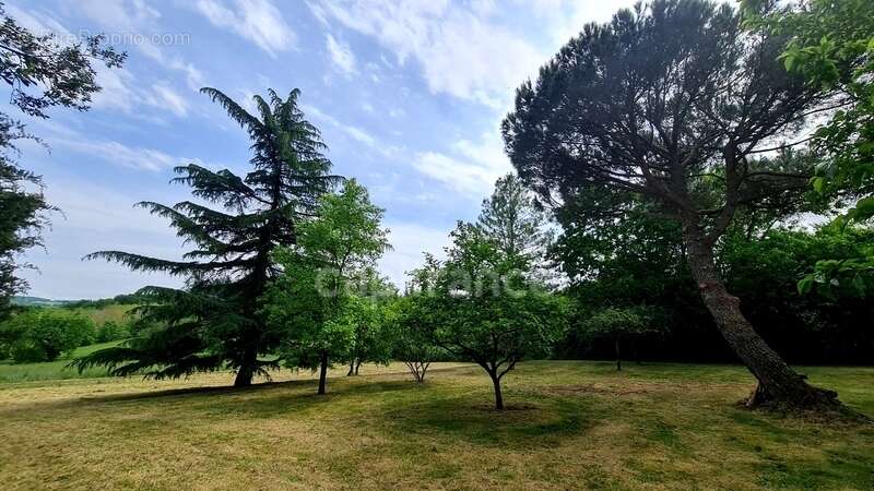 À vendre : Propriété à restaurer, à 10 mn d'Auvillar, d'environ 240 m2 habitables, sur terrain de 7400 m2  (82) - photo 23
