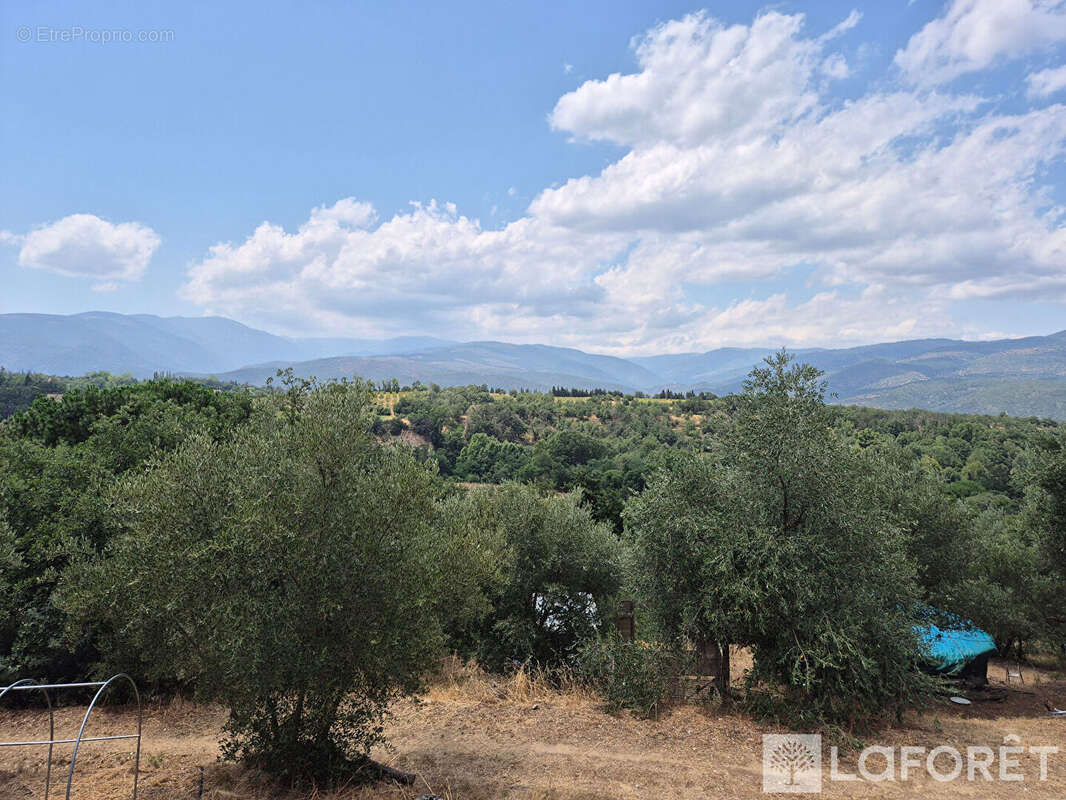 Maison Los Masos sur terrain de 4300m2 - photo 17