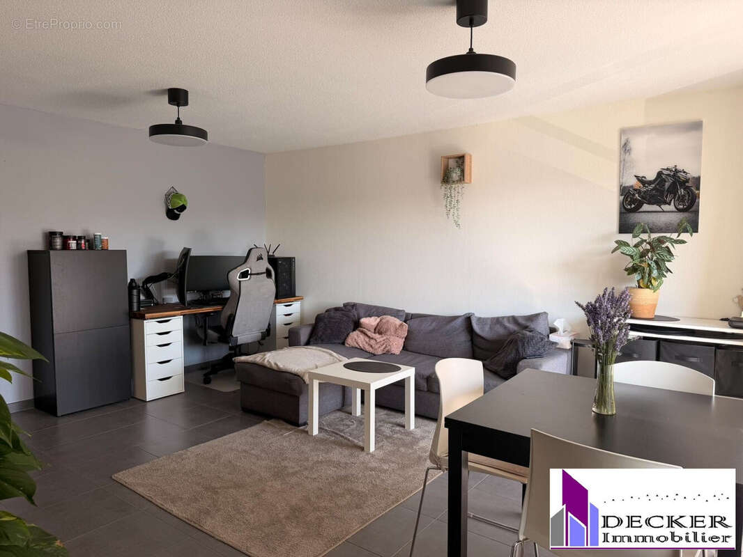 Appartement à INGWILLER
