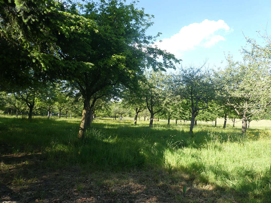 Maison à PONT-L&#039;EVEQUE