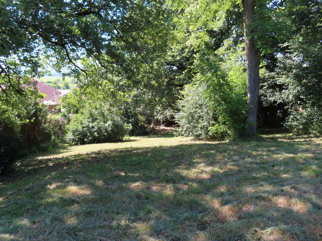 Maison à LEYRIEU