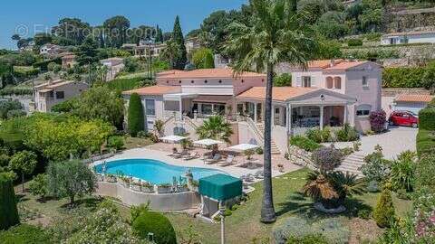 Maison 427 m² à Cannes  - photo 2
