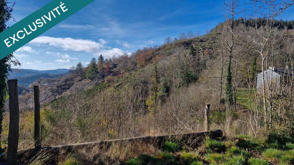 Photo 6 - Maison à LACAUNE