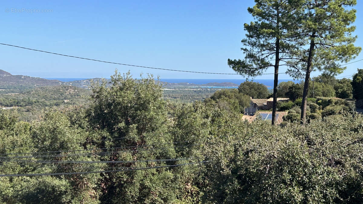 Maison à PORTO-VECCHIO