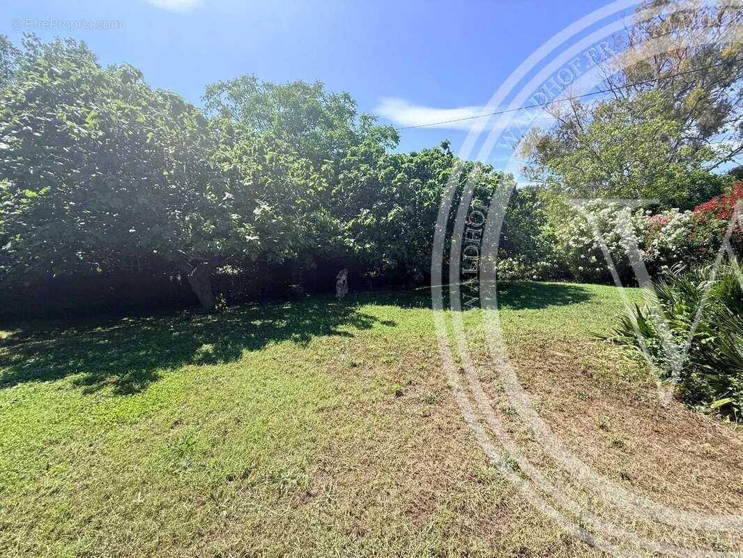 Maison Provençale à Mougins 161 M2-Emplacement privilégié - photo 5