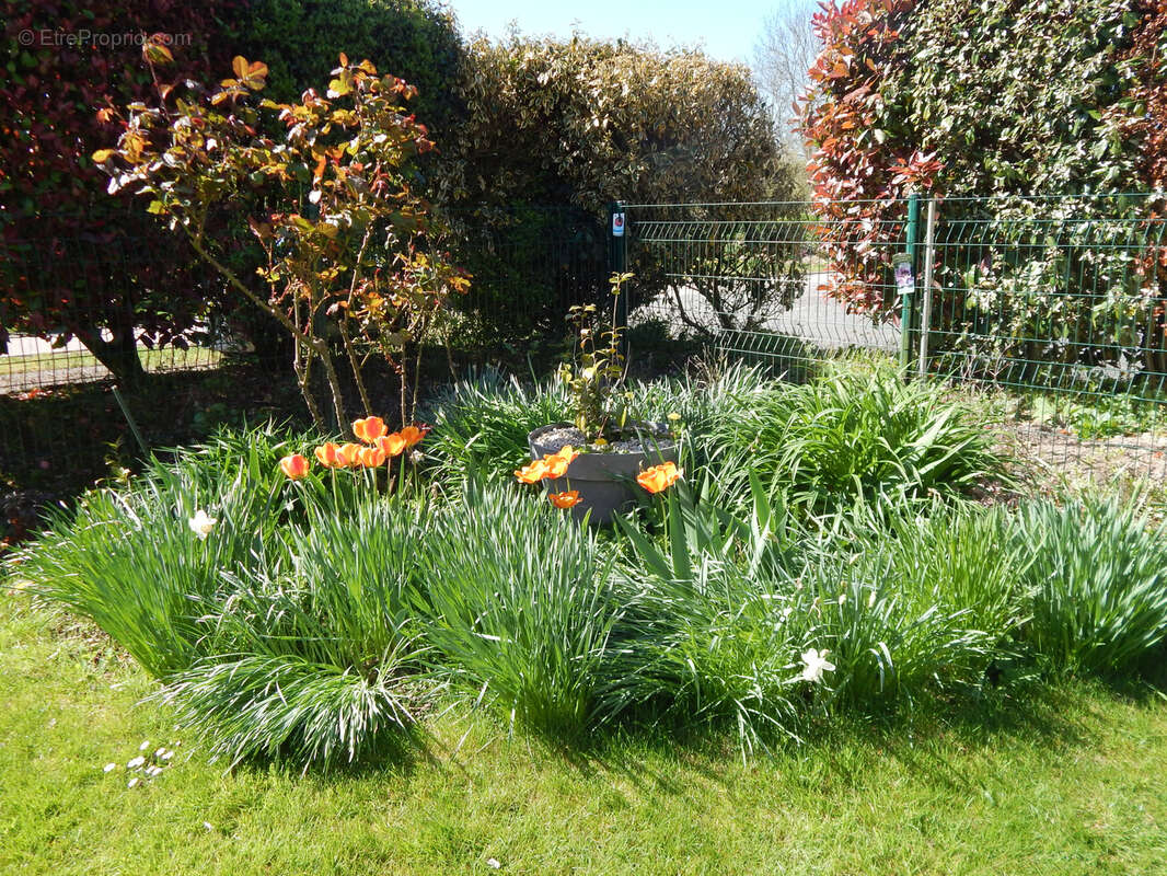 Maison à PONT-AUDEMER