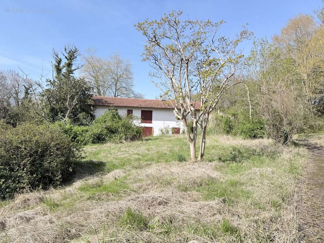 Maison 390 m² à Ascain  - photo 2
