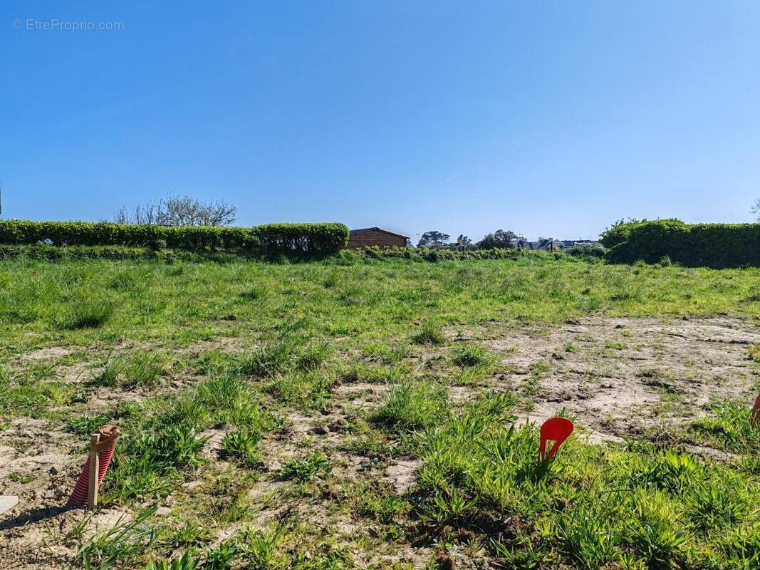 Terrain à ROSCOFF