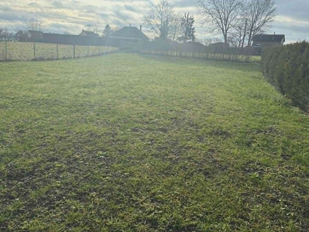Terrain à AUTREMENCOURT